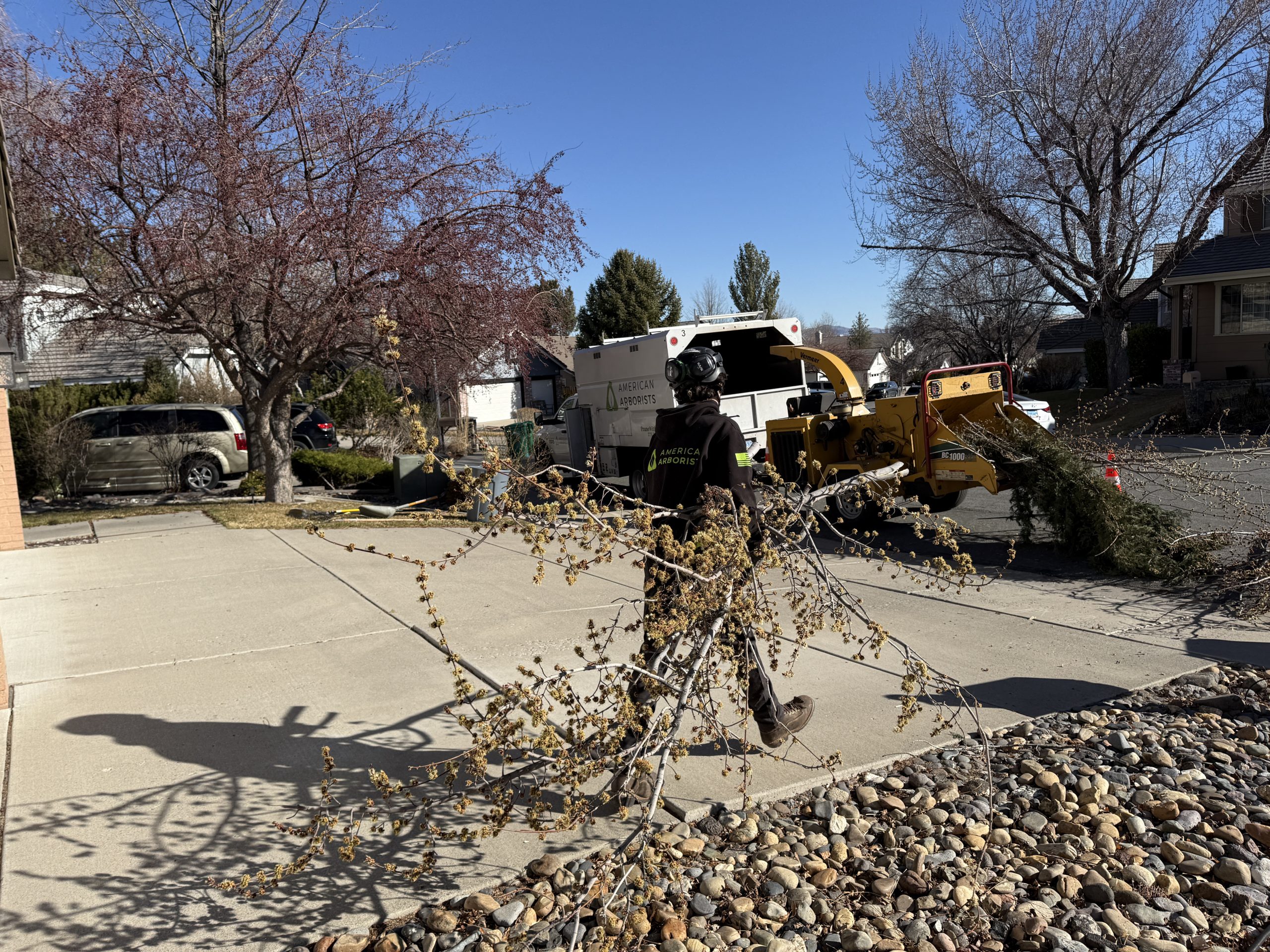 tree service in fernley