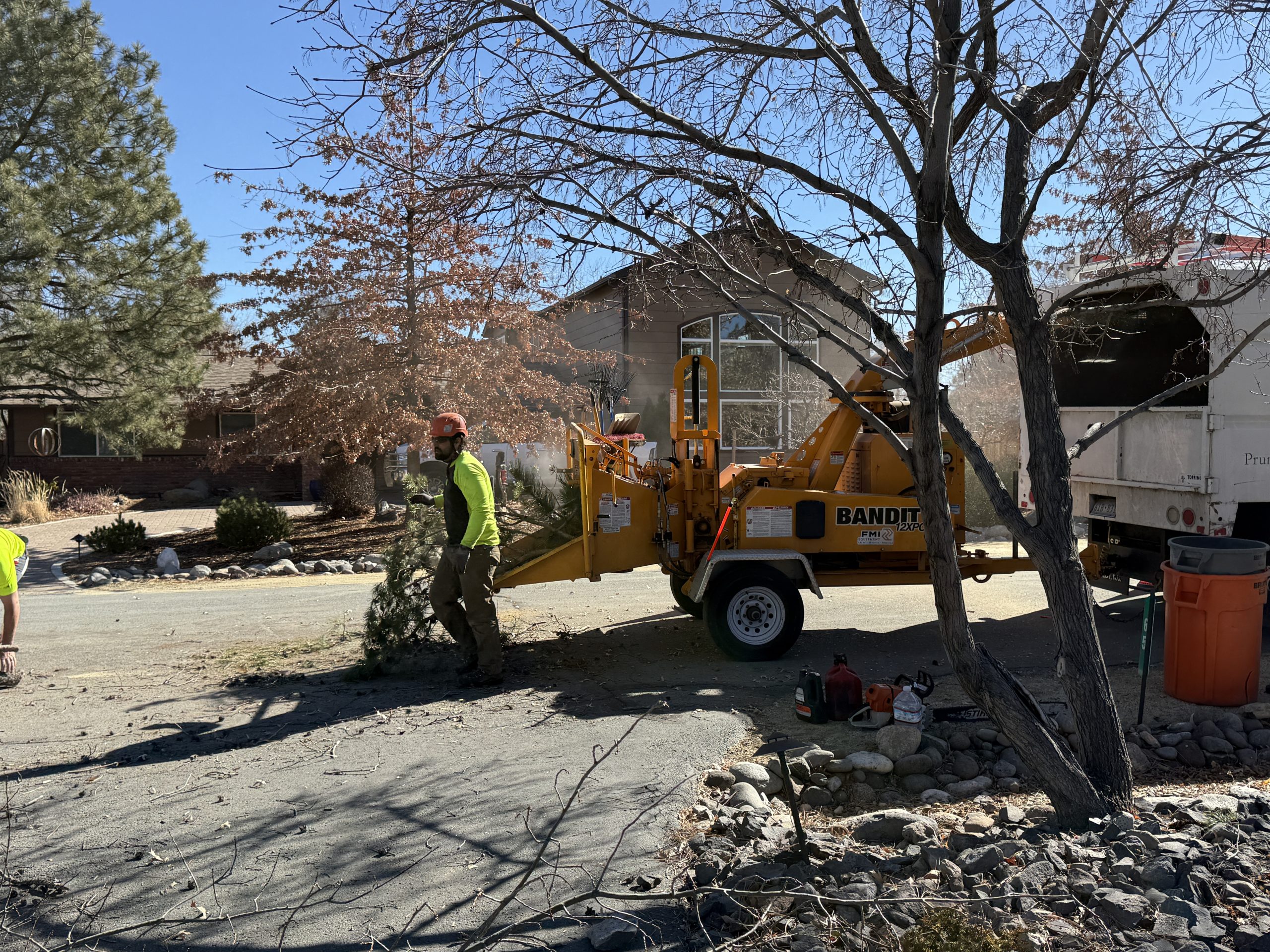 tree service in sun valley