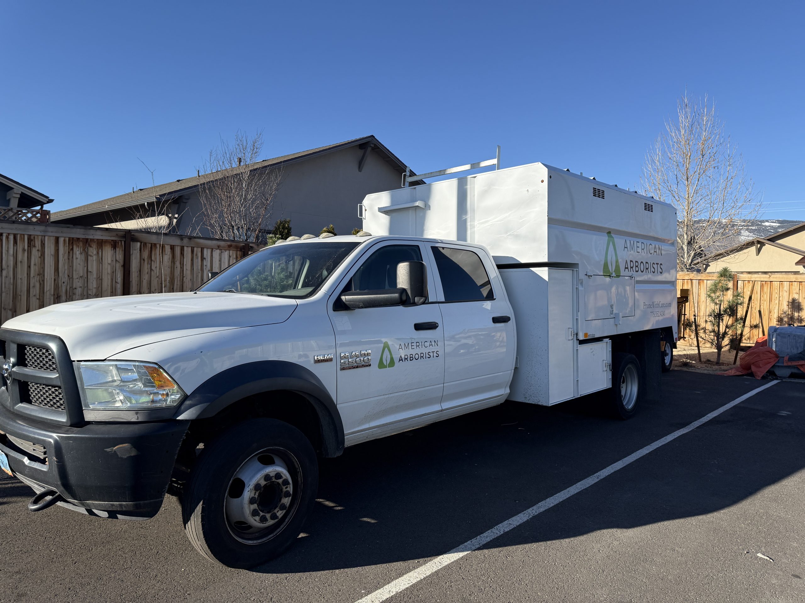 tree service in dayton