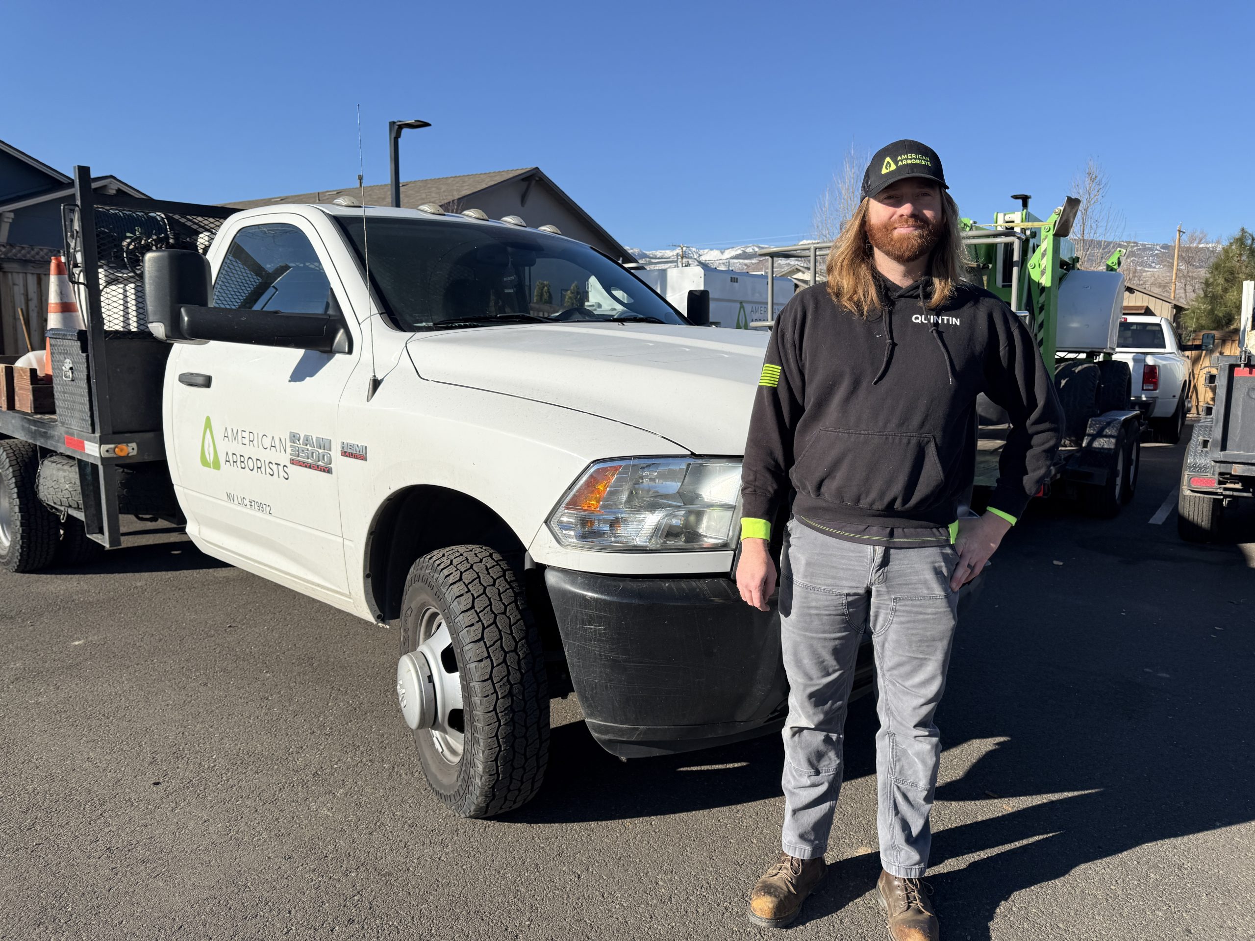 tree work in sun valley